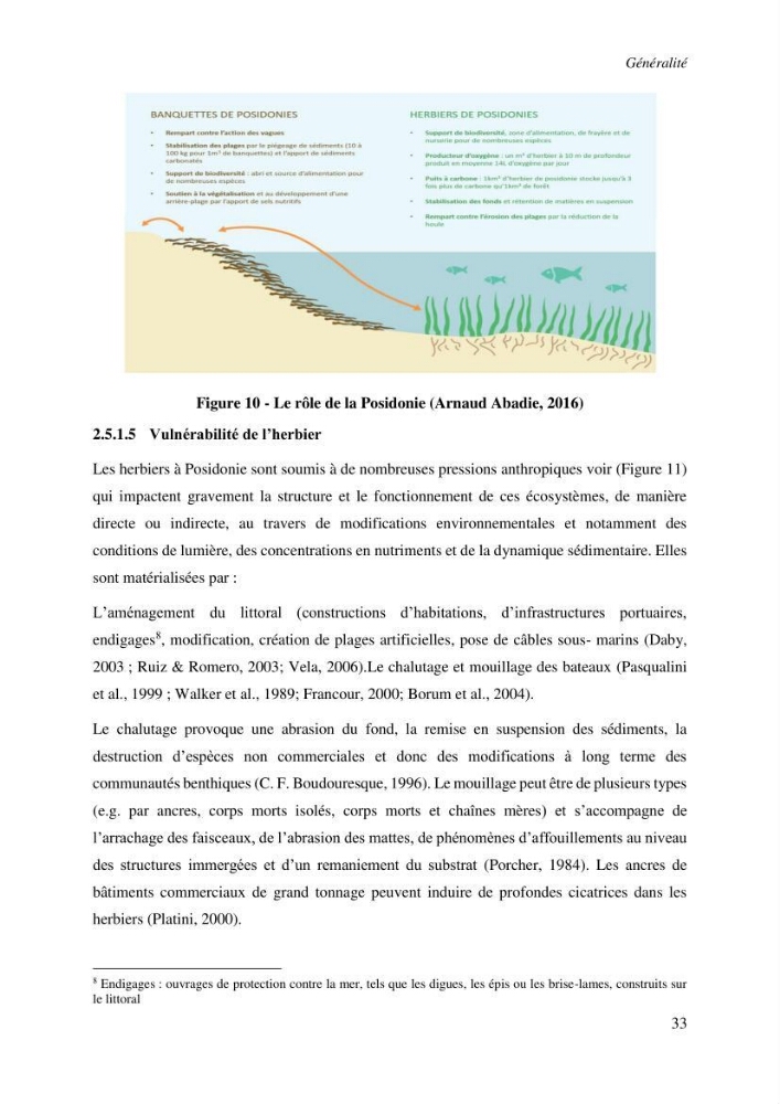 Apport de la télédétection à la cartographie des herbiers de Posidonia oceanica le long des côtes algériennes