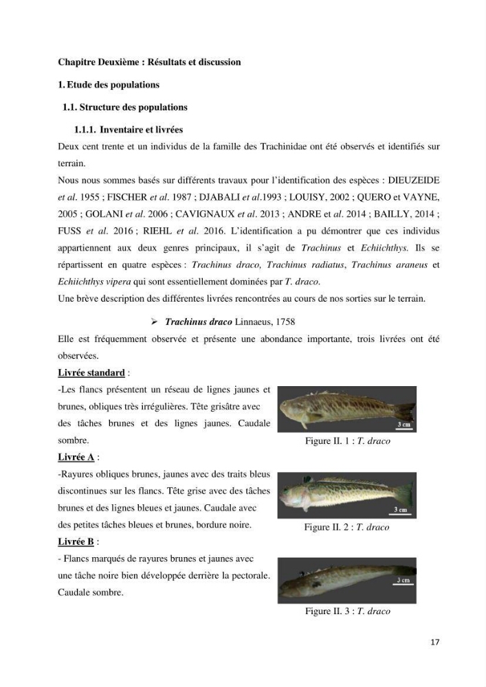 Contribution à la famille des Trachinidae (Osteichthyens, Perciformes)dans le bassin algérien