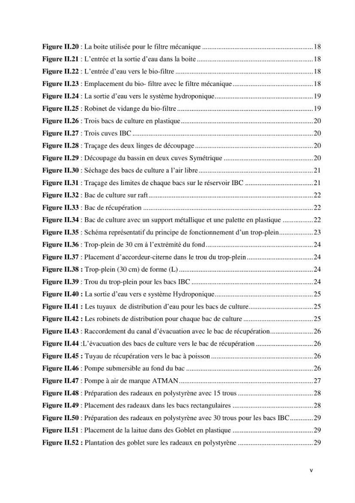 Mise en place d\'un élevage en aquaponie