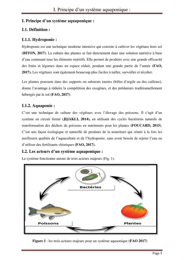 Mise en place d\'un élevage en aquaponie