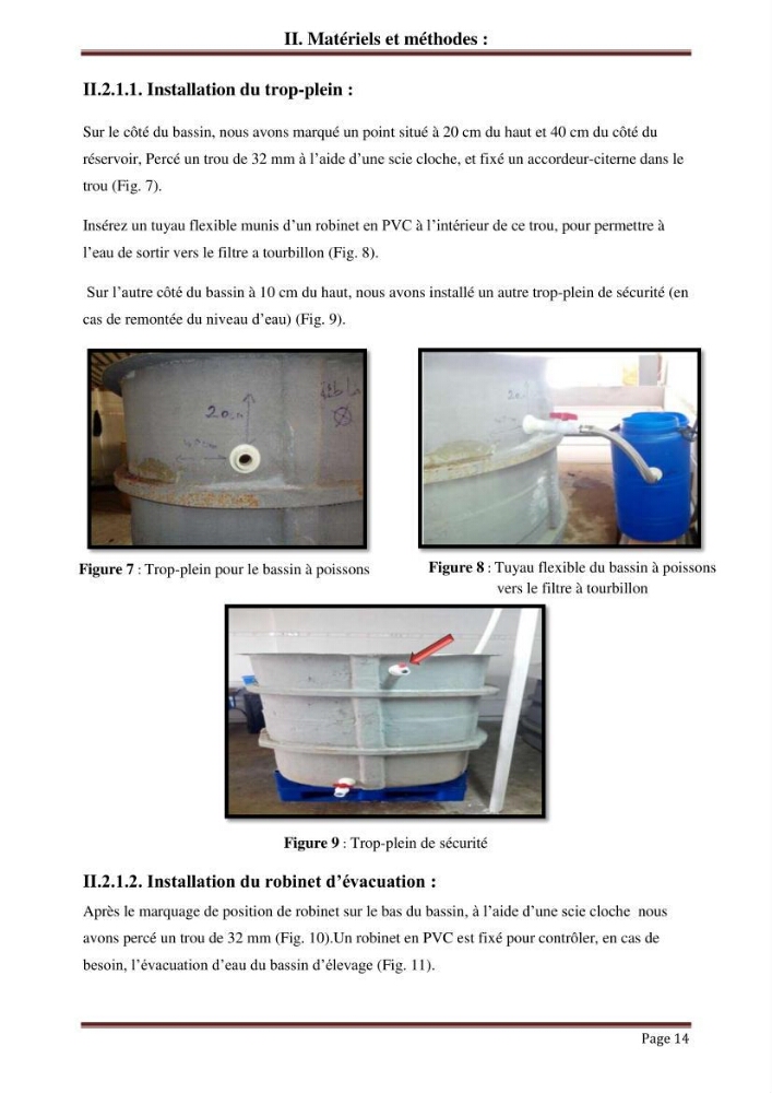 Mise en place d\'un élevage en aquaponie