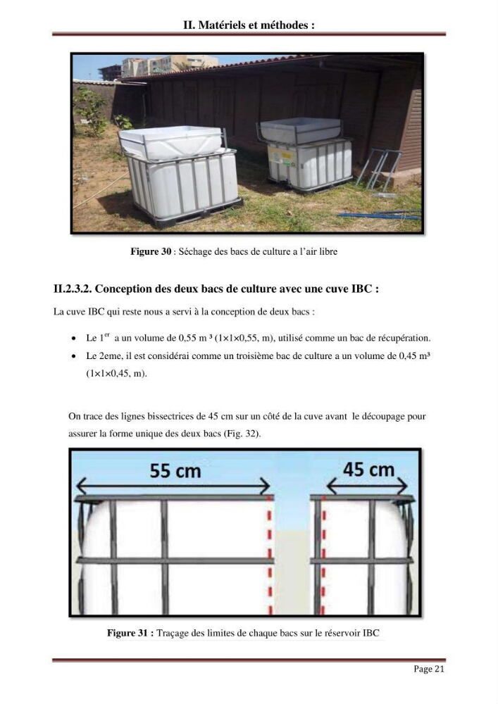 Mise en place d\'un élevage en aquaponie