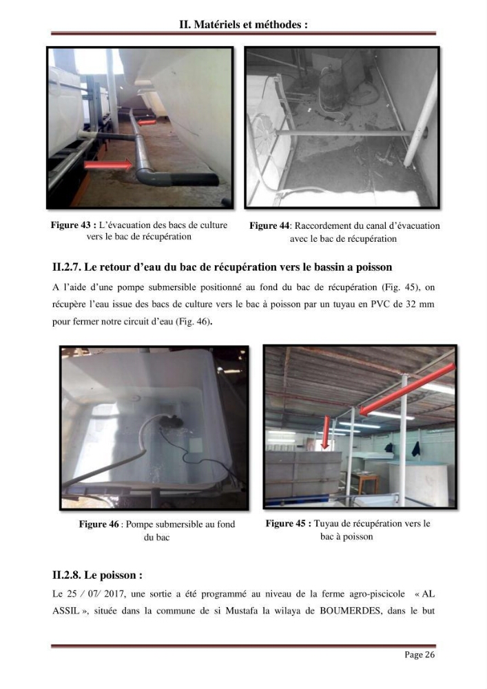 Mise en place d\'un élevage en aquaponie