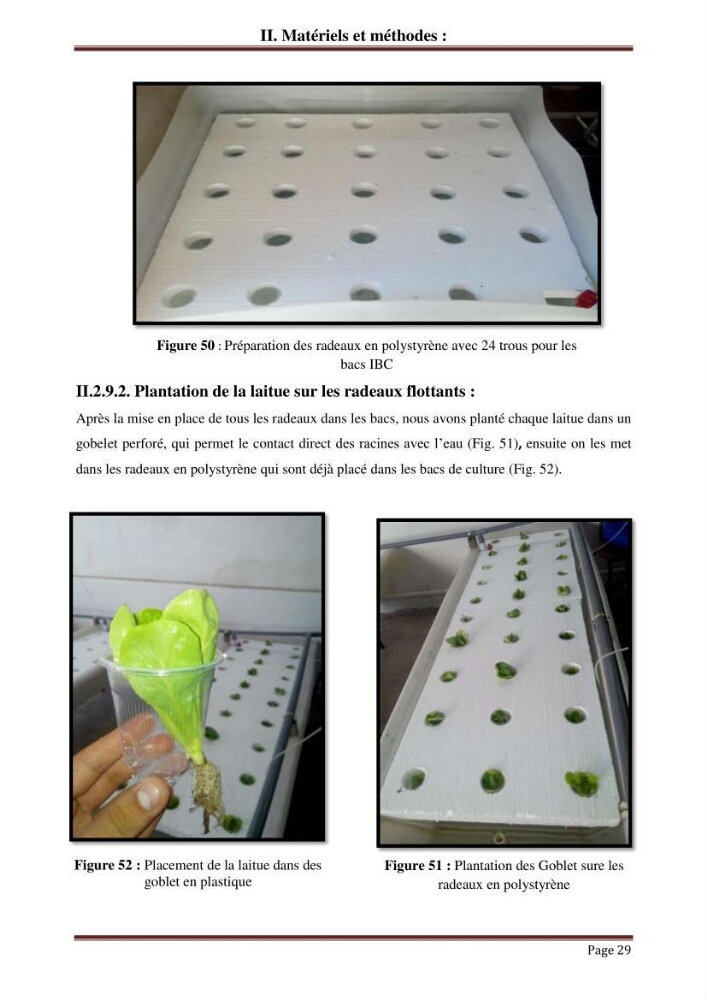 Mise en place d\'un élevage en aquaponie