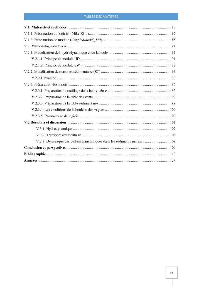 Dynamique spatiale et temporelle des polluants métalliques dans les sédiments marins : Impact de la contamination métallique