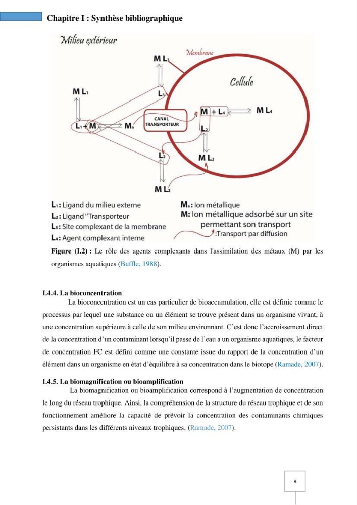 Dynamique spatiale et temporelle des polluants métalliques dans les sédiments marins : Impact de la contamination métallique