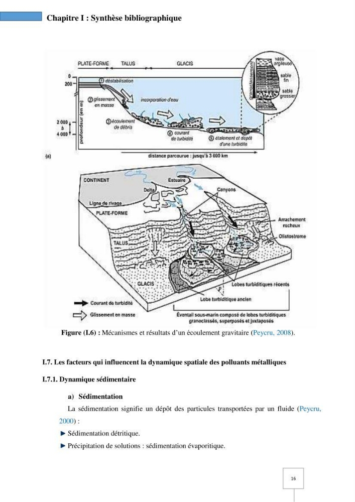Dynamique spatiale et temporelle des polluants métalliques dans les sédiments marins : Impact de la contamination métallique