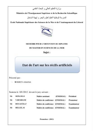 Etat de l'art sur les recifs artificiels Etat de l'art sur les recifs artificiels