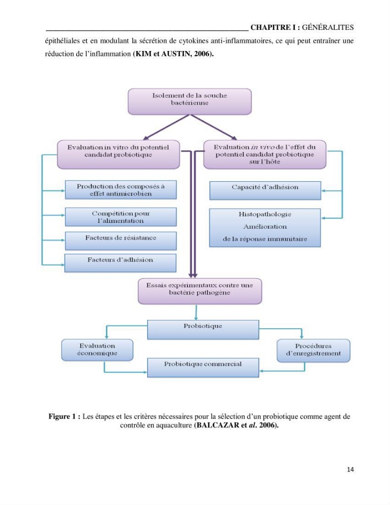 Etude du potentiel probiotique de bactéries isolées à partir d’animaux aquatiques