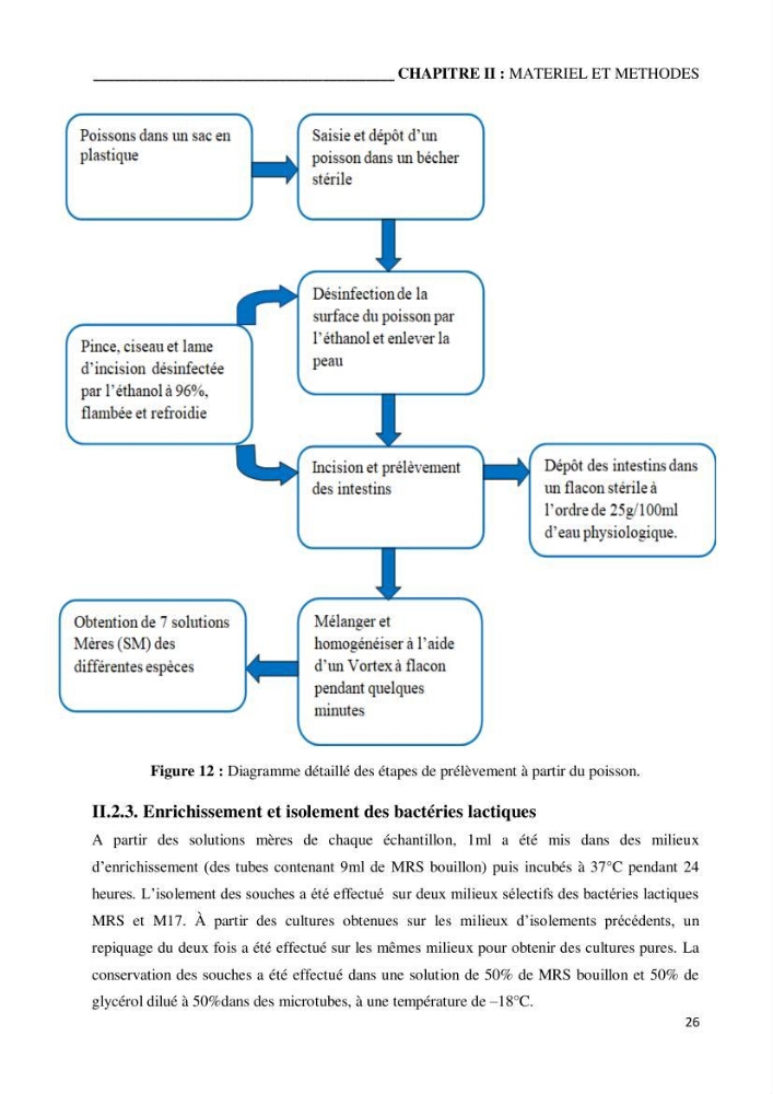 Etude du potentiel probiotique de bactéries isolées à partir d’animaux aquatiques