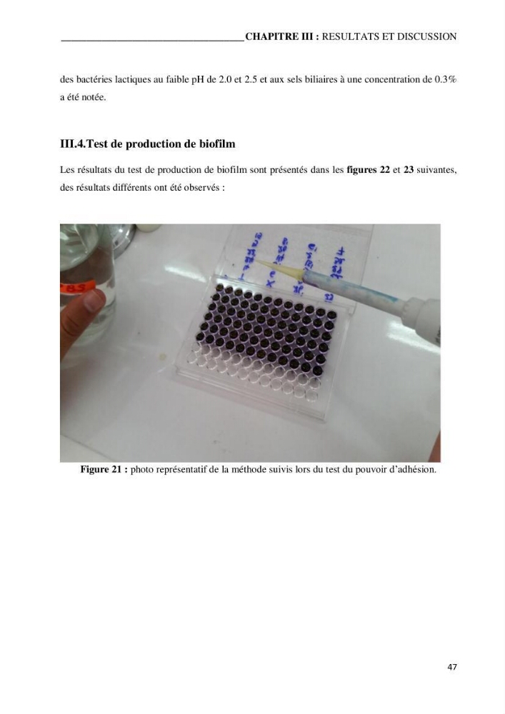 Etude du potentiel probiotique de bactéries isolées à partir d’animaux aquatiques