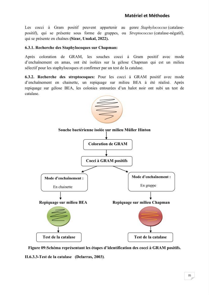 Evaluation et isolement des bactéries résistantes aux métaux lourds à partir de poissons et leur potentiel à éliminer le chrome