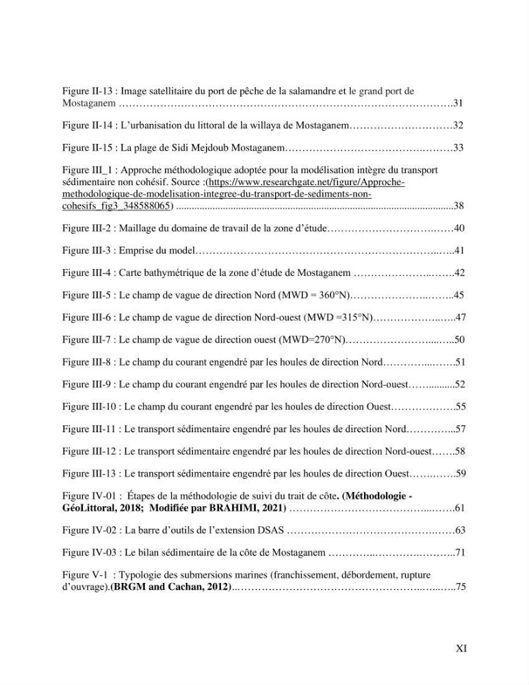 Evaluation des impacts des changements climatiques sur la morphologie du littoral de la wilaya de Mostaganem
