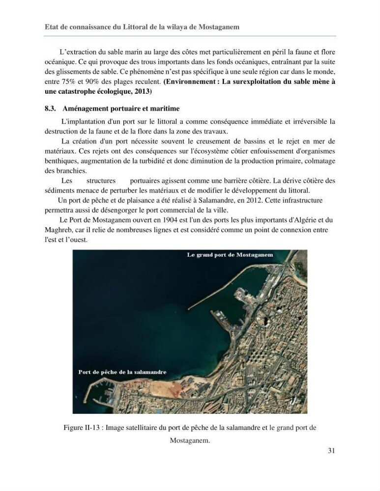 Evaluation des impacts des changements climatiques sur la morphologie du littoral de la wilaya de Mostaganem