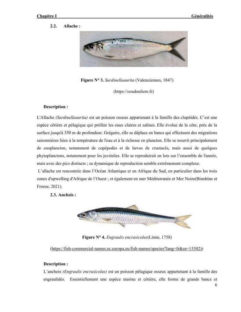 La pêcherie chalutière et sardinière des petits pélagiques à Beni-Saf: Approche comparative (Halieutique et économique)