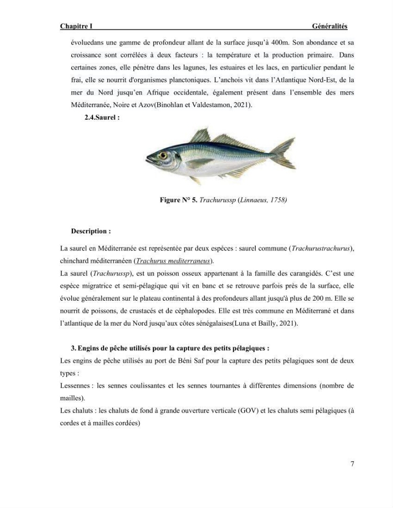 La pêcherie chalutière et sardinière des petits pélagiques à Beni-Saf: Approche comparative (Halieutique et économique)