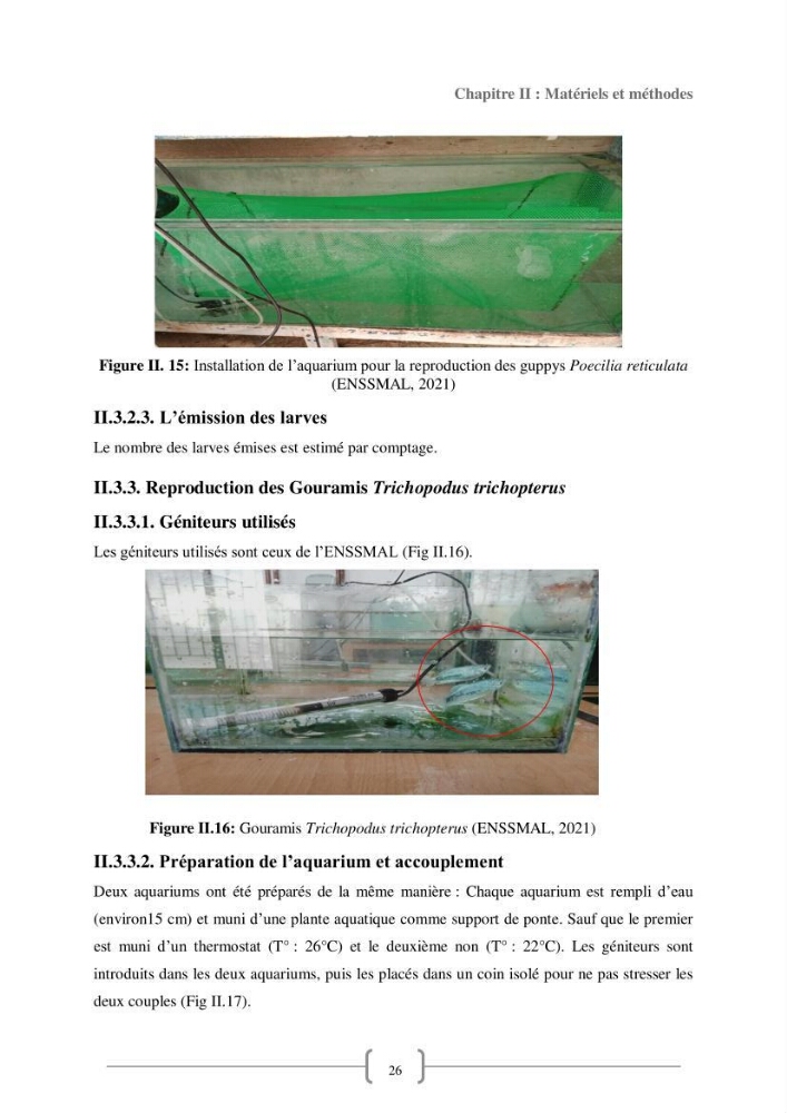 Contribution à la reproduction de quelques espèces de poissons d’ornements d’eau douce :