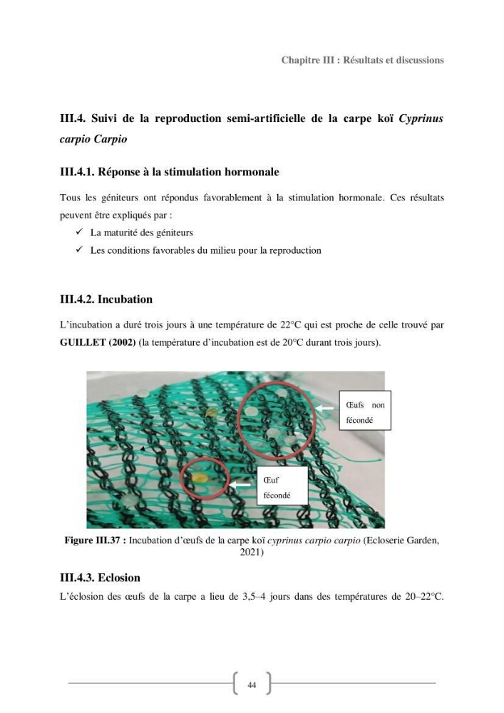 Contribution à la reproduction de quelques espèces de poissons d’ornements d’eau douce :