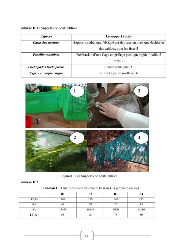 Contribution à la reproduction de quelques espèces de poissons d’ornements d’eau douce :