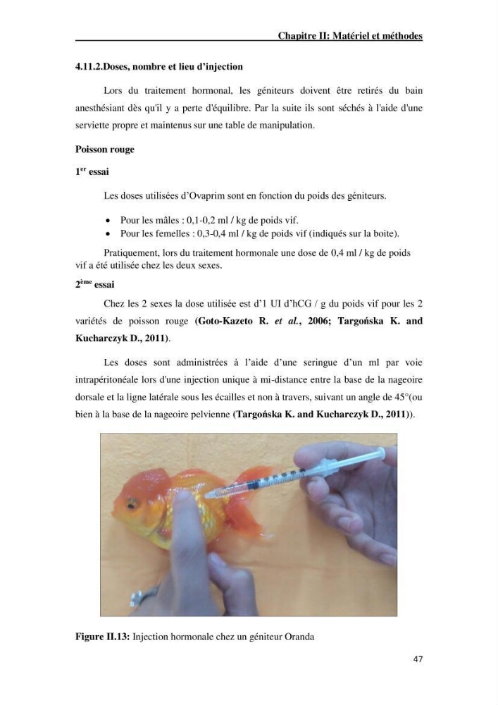 Maîtrise et suivi de la reproduction artificielle de quelques espèces de la famille des cyprinidés.: