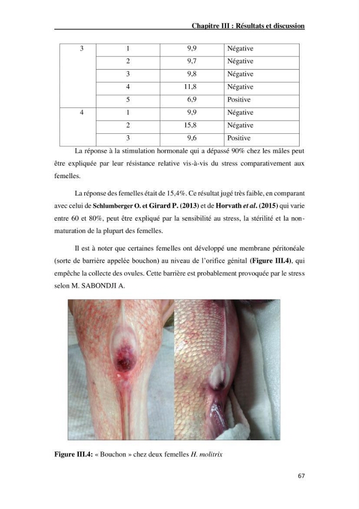 Maîtrise et suivi de la reproduction artificielle de quelques espèces de la famille des cyprinidés.: