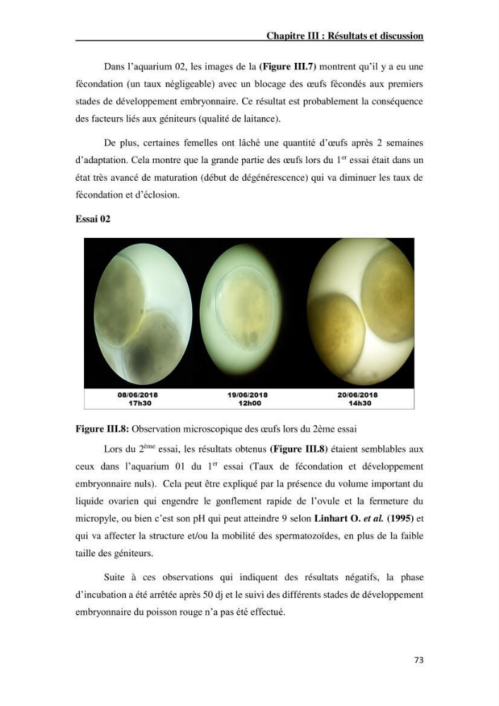 Maîtrise et suivi de la reproduction artificielle de quelques espèces de la famille des cyprinidés.: