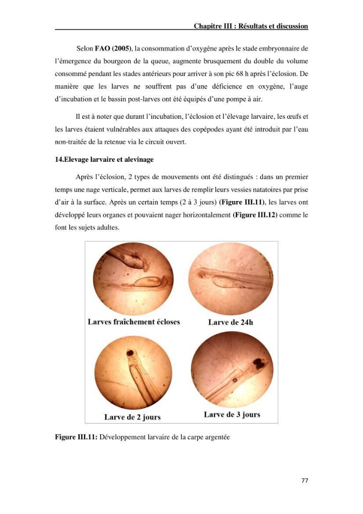 Maîtrise et suivi de la reproduction artificielle de quelques espèces de la famille des cyprinidés.: