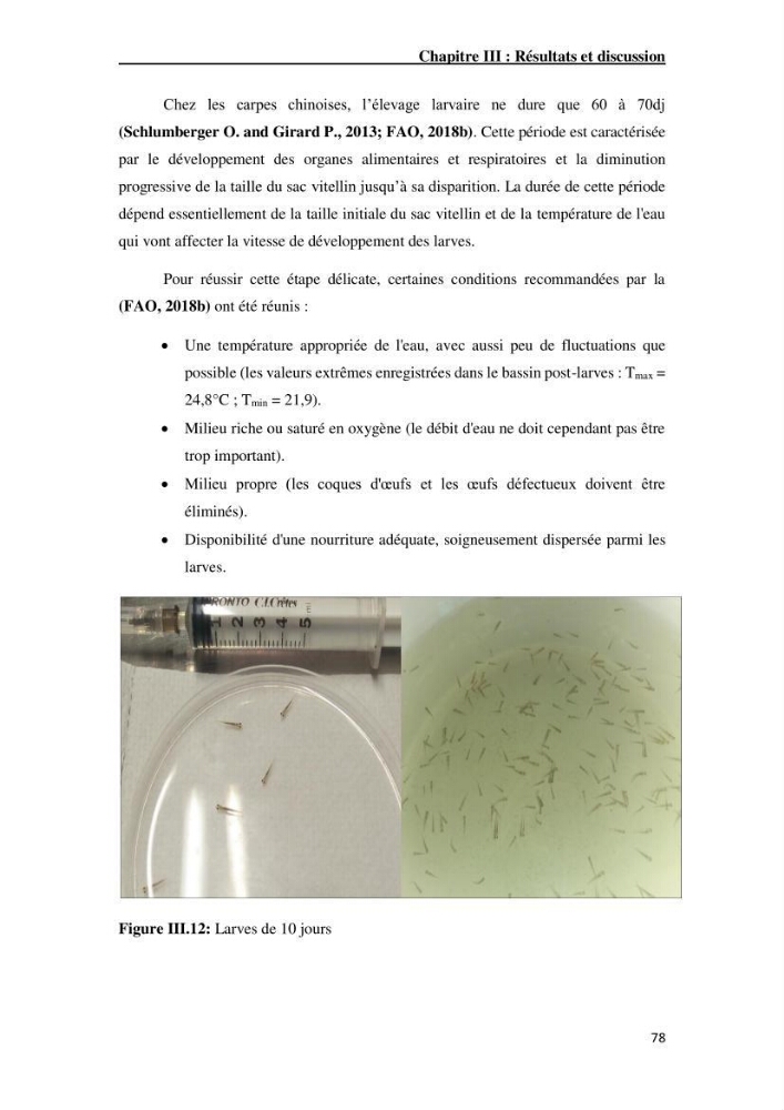 Maîtrise et suivi de la reproduction artificielle de quelques espèces de la famille des cyprinidés.: