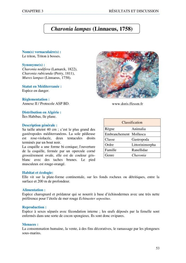 inventaire de la faune et de la flore marine d\'intérêt écologique des sites remarquables de la côte Ouest Algérienne