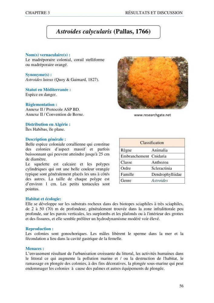 inventaire de la faune et de la flore marine d\'intérêt écologique des sites remarquables de la côte Ouest Algérienne