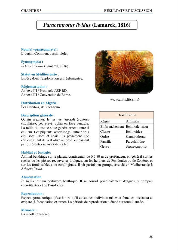 inventaire de la faune et de la flore marine d\'intérêt écologique des sites remarquables de la côte Ouest Algérienne