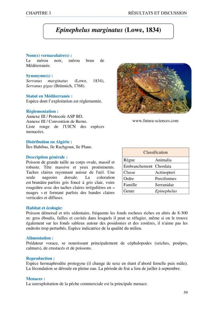 inventaire de la faune et de la flore marine d\'intérêt écologique des sites remarquables de la côte Ouest Algérienne