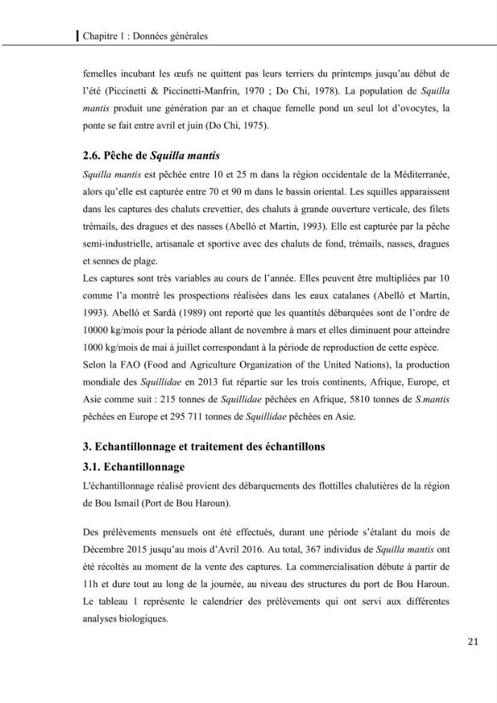 Contribution a l\'étude du régime alimentaire, de la croissance et de l\'exploitation de la squille squilla mantis linnaeus ,1758 dans la baie de bou-ismail.