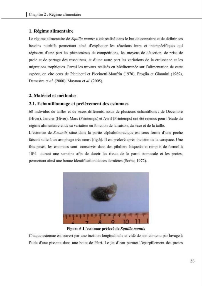 Contribution a l\'étude du régime alimentaire, de la croissance et de l\'exploitation de la squille squilla mantis linnaeus ,1758 dans la baie de bou-ismail.