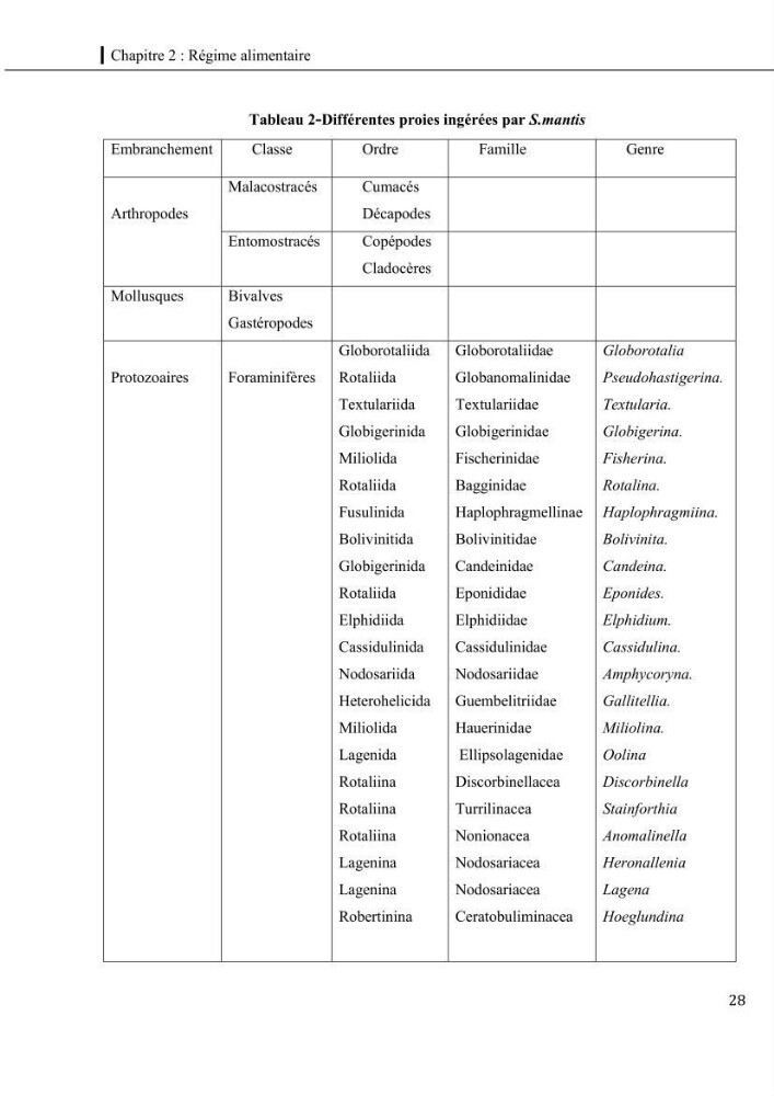 Contribution a l\'étude du régime alimentaire, de la croissance et de l\'exploitation de la squille squilla mantis linnaeus ,1758 dans la baie de bou-ismail.