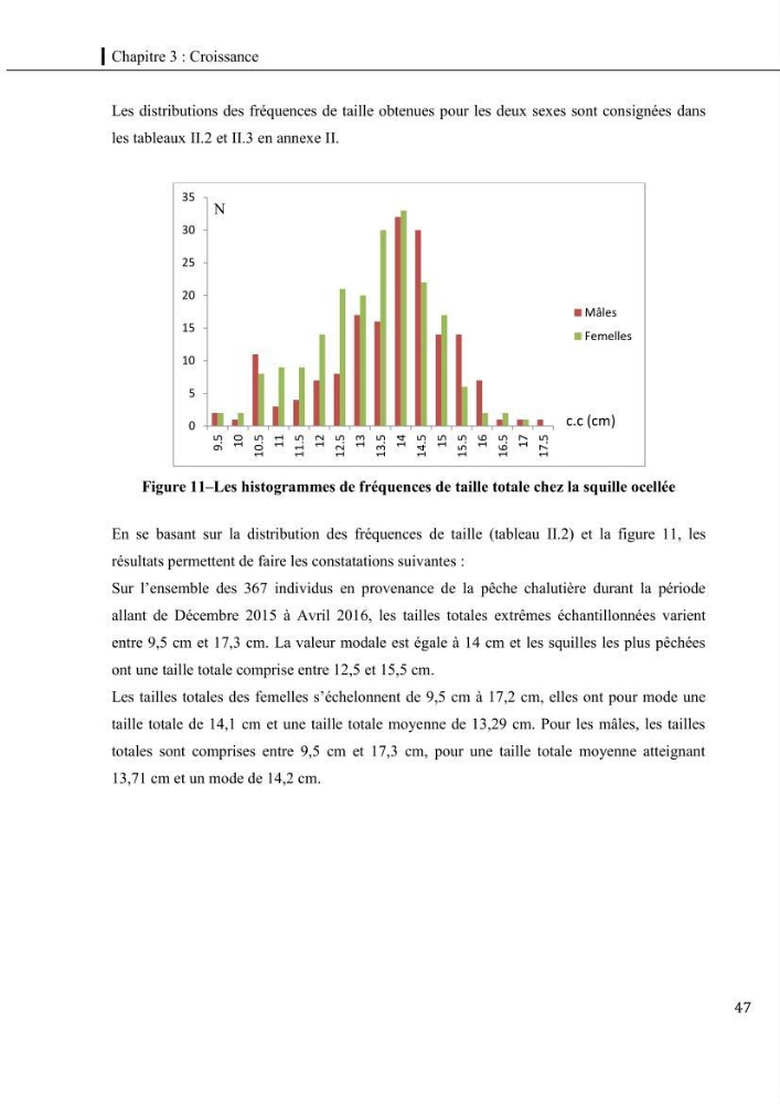 Contribution a l\'étude du régime alimentaire, de la croissance et de l\'exploitation de la squille squilla mantis linnaeus ,1758 dans la baie de bou-ismail.
