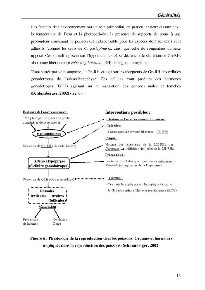 Expérémentation sur la reproduction artificielle du poisson-chat africain clarias gariepinus (bruchell, 1822)