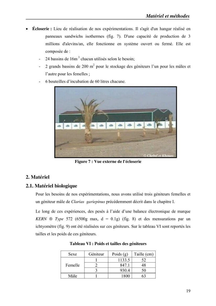 Expérémentation sur la reproduction artificielle du poisson-chat africain clarias gariepinus (bruchell, 1822)