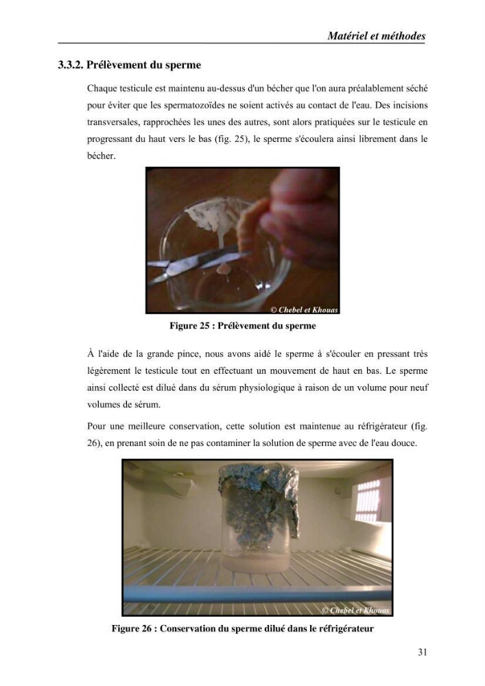 Expérémentation sur la reproduction artificielle du poisson-chat africain clarias gariepinus (bruchell, 1822)