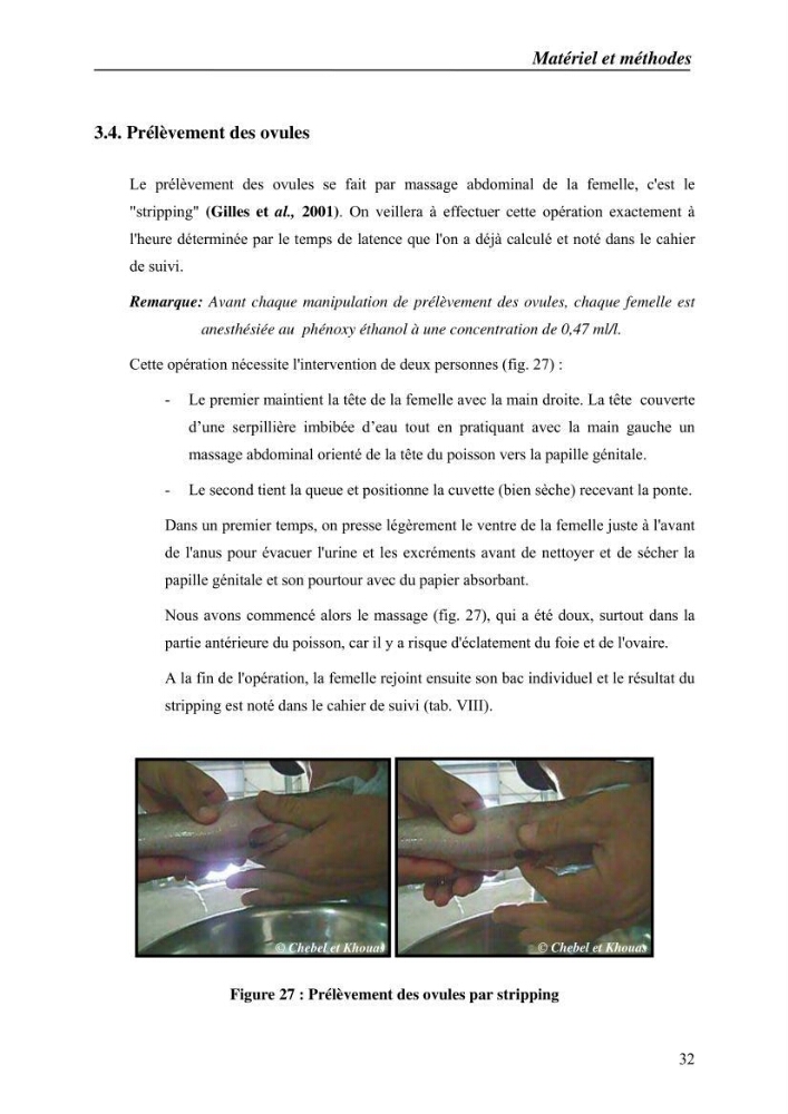 Expérémentation sur la reproduction artificielle du poisson-chat africain clarias gariepinus (bruchell, 1822)
