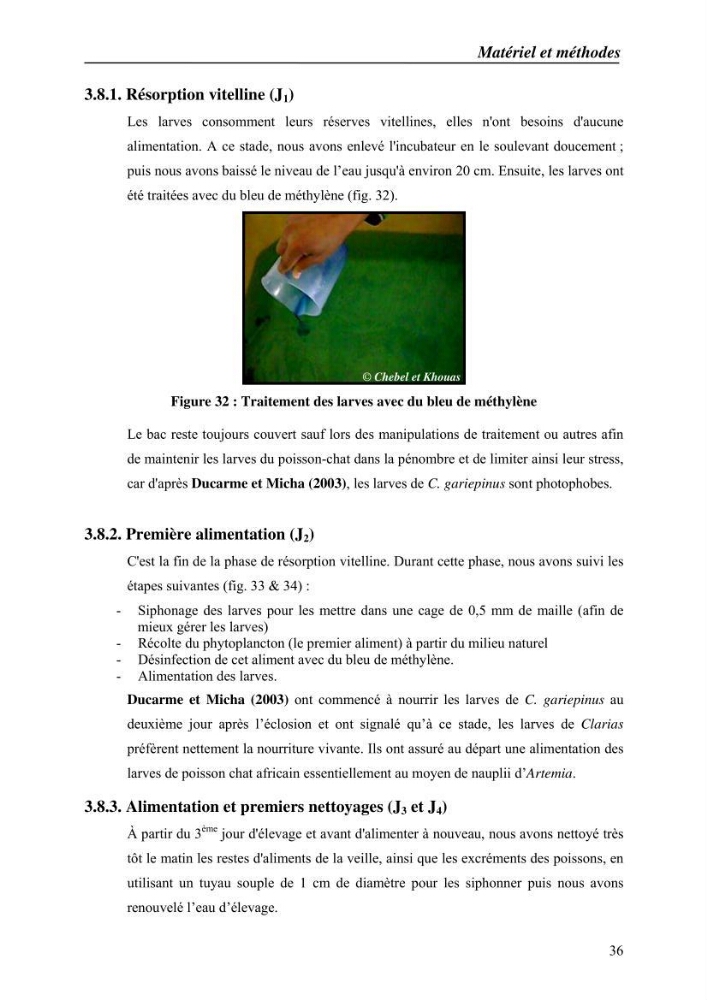 Expérémentation sur la reproduction artificielle du poisson-chat africain clarias gariepinus (bruchell, 1822)