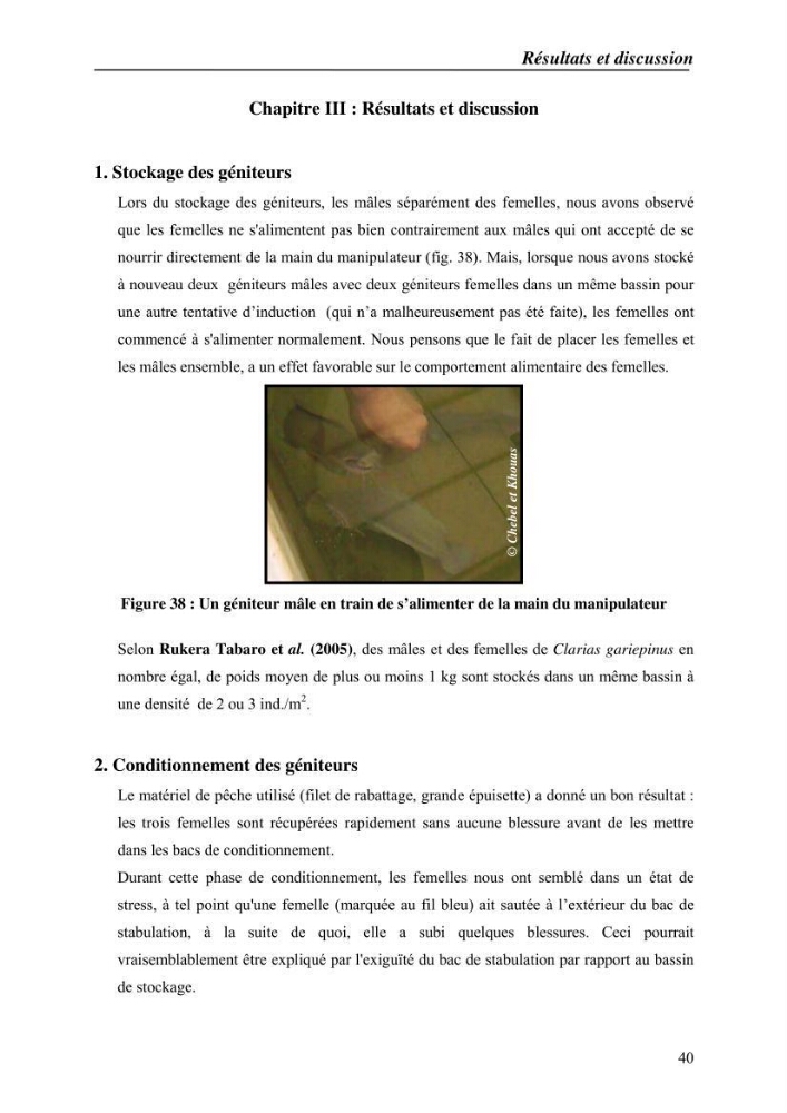 Expérémentation sur la reproduction artificielle du poisson-chat africain clarias gariepinus (bruchell, 1822)