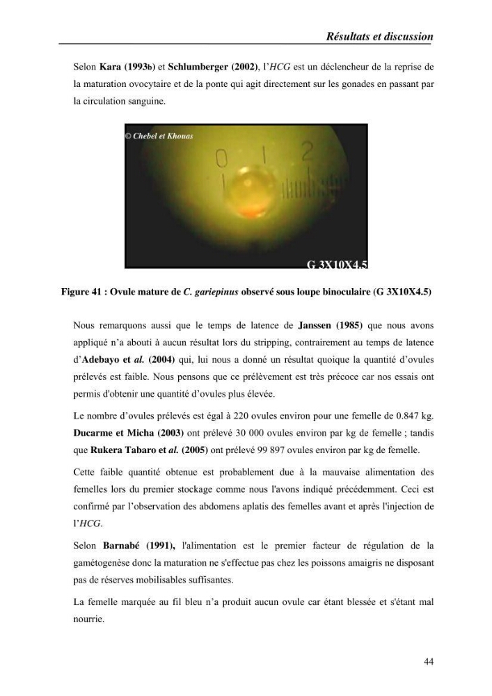Expérémentation sur la reproduction artificielle du poisson-chat africain clarias gariepinus (bruchell, 1822)