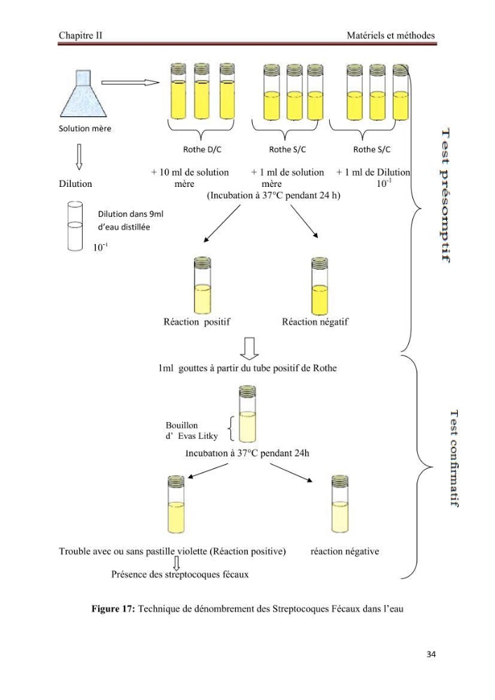 Caractérisation physico-chimique et bactériologique des eaux de la ferme d\'élevage de poissons marins d\'Azeffoun (Willaya de Tizi Ouzou):