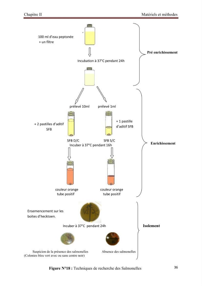 Caractérisation physico-chimique et bactériologique des eaux de la ferme d\'élevage de poissons marins d\'Azeffoun (Willaya de Tizi Ouzou):