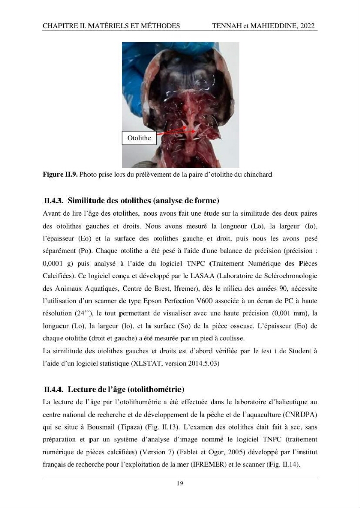 Contribution à l\'étude de l\'âge et de la croissance des espèces du genre Trachurus ( Téléostéens, Carangidae ) de la région centre du littoral algérien.