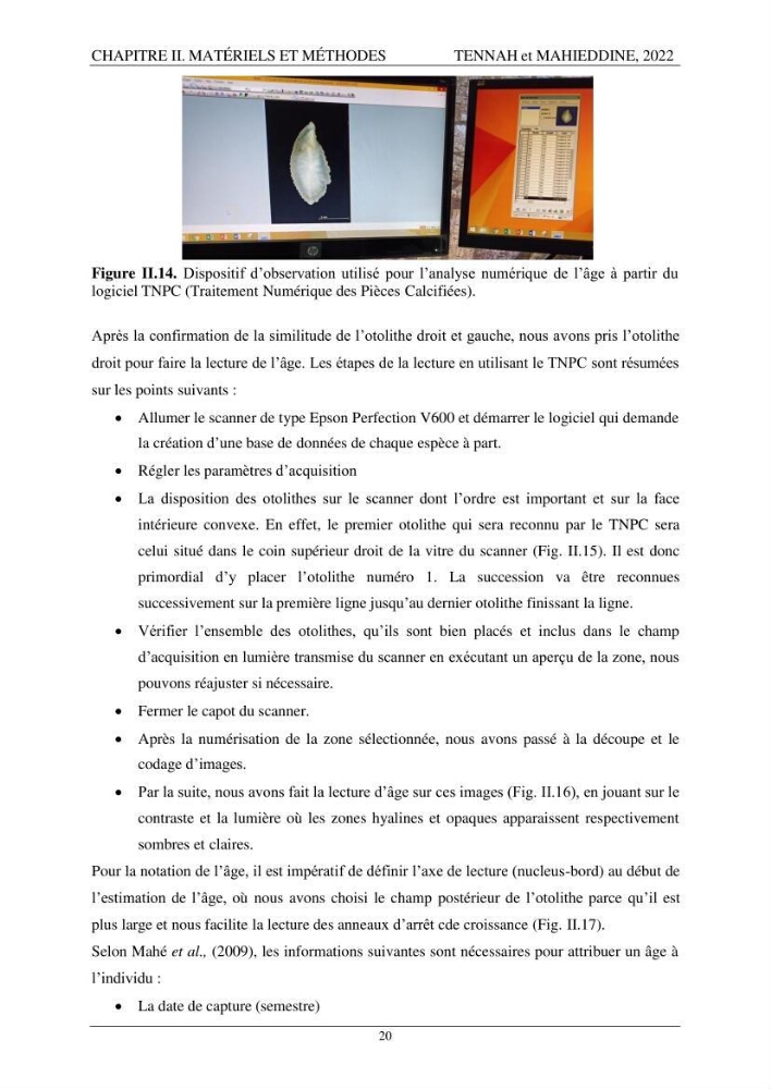Contribution à l\'étude de l\'âge et de la croissance des espèces du genre Trachurus ( Téléostéens, Carangidae ) de la région centre du littoral algérien.