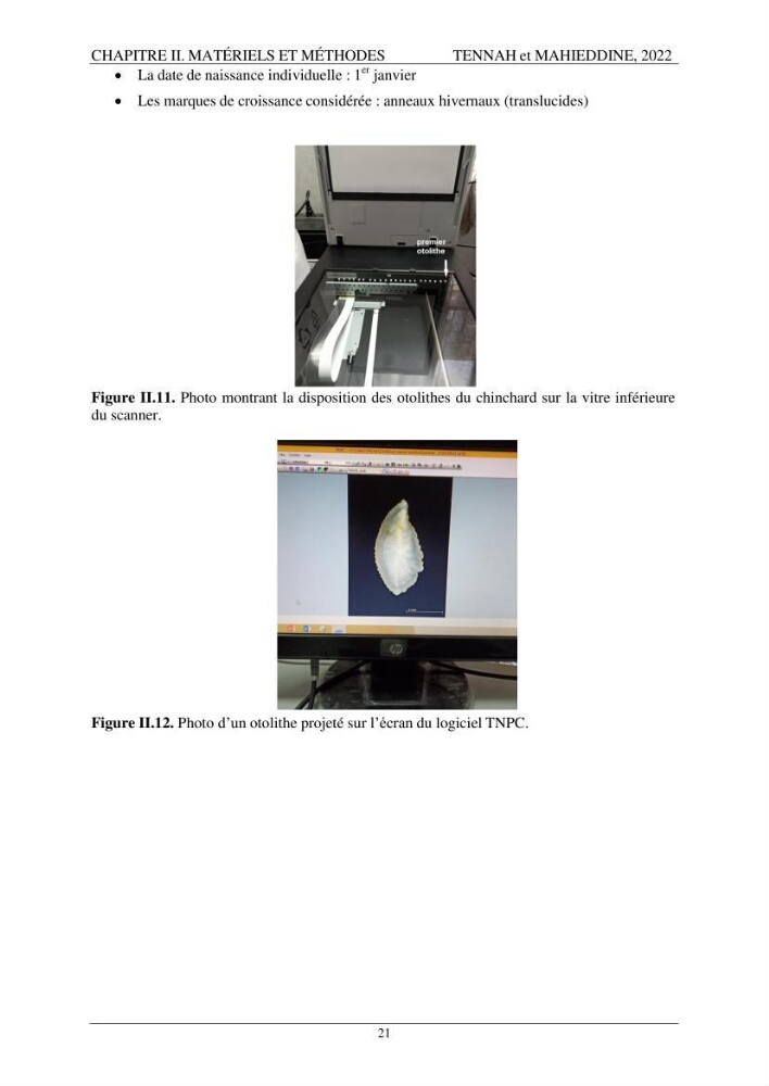 Contribution à l\'étude de l\'âge et de la croissance des espèces du genre Trachurus ( Téléostéens, Carangidae ) de la région centre du littoral algérien.