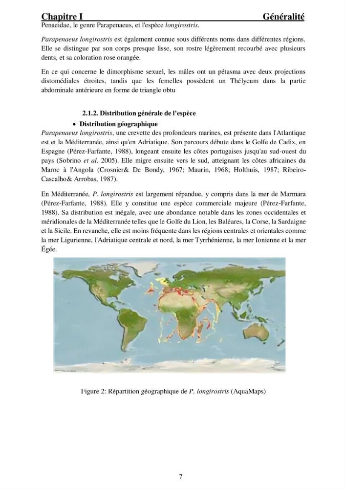 Ecologie et exploitation des crevettes Péneides dans le centre algérien