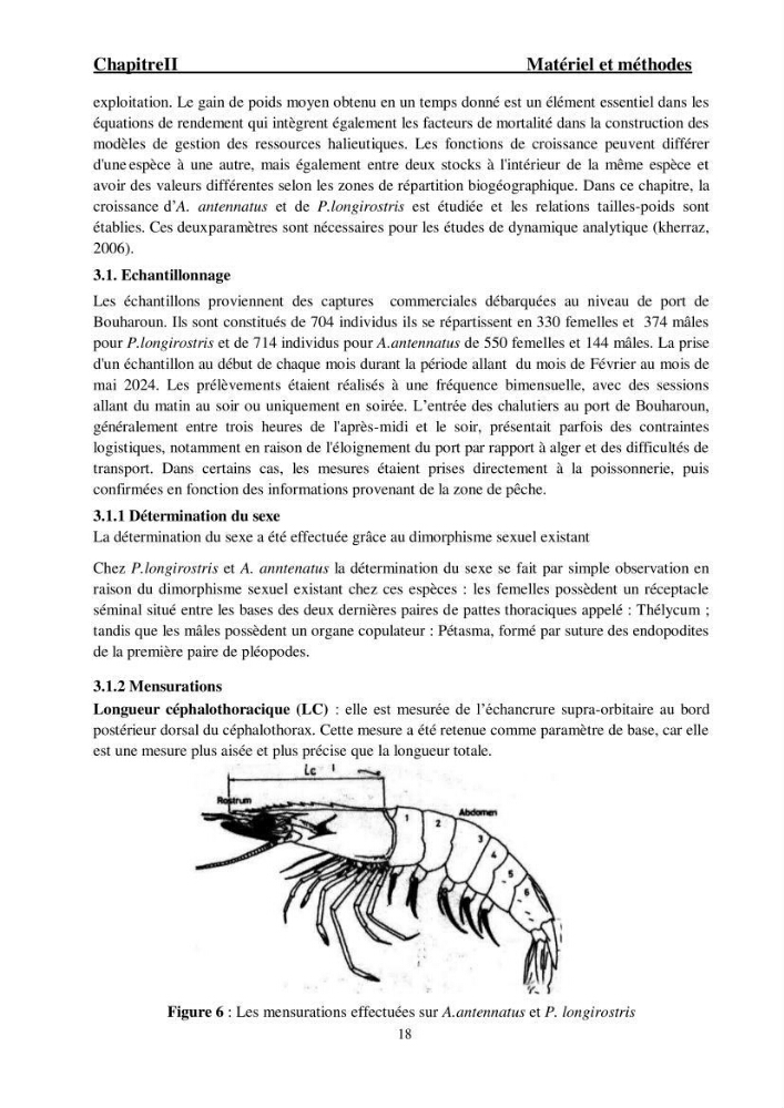 Ecologie et exploitation des crevettes Péneides dans le centre algérien